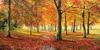 150cm x 75cm Herbstimpression von Richter, Cornelia