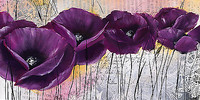 150cm x 75cm Pavot violet I von Zacher-Finet, Isabelle