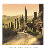 45cm x 50cm Country Lane, Tuscany von CARMEL,ELIZABET
