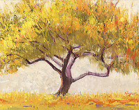 140cm x 110cm Apricot Tree von Novak, Shirley