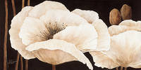 100cm x 50cm Amazing Poppies III von Jettie Roseboom