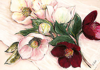100cm x 70cm Elegant Anemones von KROBS,ELISABETH