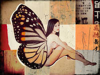 100cm x 75cm Butterfly II von Shirin Donia