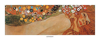 50cm x 20cm Acqua Mossa von Klimt, Gustav
