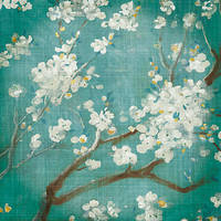 100cm x 100cm White Cherry Blossoms I on Blue Aged No von Danhui Nai