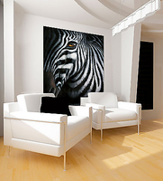 60cm x 80cm Zebra I von PLATH,JUTTA