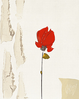 24cm x 30cm La petite rose rouge von Christian Choisy