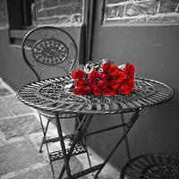 70cm x 70cm Romantic Roses II von Assaf Frank