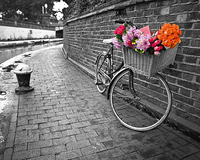 30cm x 24cm Bicycle of Love I von Assaf Frank