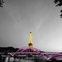 30cm x 30cm Shiny Eiffel von Anne Valverde