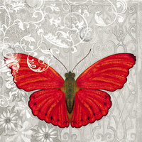 30cm x 30cm Red Butterfly I von Alan Hopfensperger