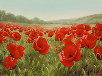 80cm x 60cm Field of Poppies von LEVASHOV,IGOR