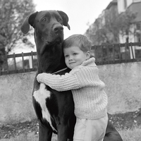 30cm x 30cm A Child with dog von Anonym
