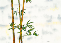 70cm x 50cm Bambus von FERNER,MICHAEL