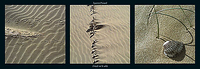 95cm x 33cm Details sur le sable von PINSARD,LAURENT