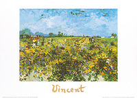 70cm x 50cm The green vineyard               von Vincent Van Gogh