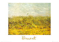 70cm x 50cm The wheat field                  von Vincent Van Gogh
