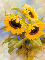 60cm x 80cm Sunflowers                       von Igor Levashov