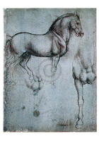 35cm x 50cm Studio di cavalli                von Leonardo Da Vinci