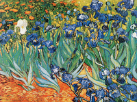 80cm x 60cm Iris                             von Vincent Van Gogh