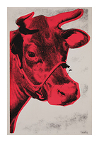 70cm x 100cm Cow 1976                         von Andy Warhol