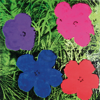 60cm x 60cm Flowers C. 1984                  von Andy Warhol