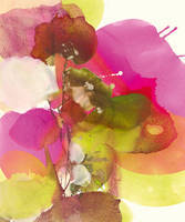 85cm x 102cm Blossoms Abstracts               von El Witt
