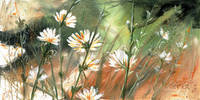150cm x 75cm Blumen im Wind                   von Michael Hopf