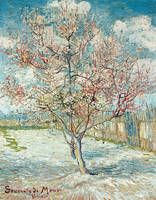 35cm x 45cm Blühende Pfirsichbäume           von Vincent Van Gogh