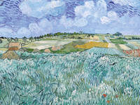 40cm x 30cm Die Ebene bei Auvers             von Vincent Van Gogh