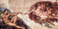 60cm x 30cm Die Erschaffung Adams            von Michelangelo