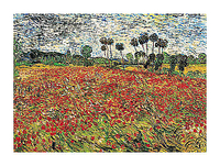 80cm x 60cm Field of Poppies von VAN GOGH,VINCEN
