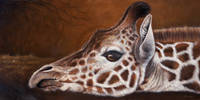 150cm x 75cm Giraffe                          von Jutta Plath