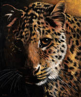 125cm x 150cm Leopard                          von Jutta Plath