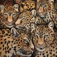 150cm x 150cm Leopardenmix                     von Jutta Plath