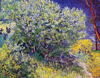 78cm x 61cm Lillas                           von Vincent Van Gogh