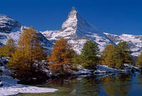 150cm x 100cm Matterhorn with Larches II       von Thomas Marent