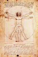 60cm x 90cm Proportionszeichnung nach Vitruv von Leonardo Da Vinci