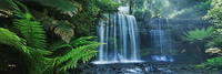 150cm x 50cm Russel Falls I                   von John Xiong