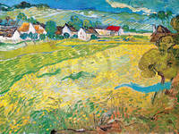 80cm x 60cm Sonnige Wiese bei Auvers         von Vincent Van Gogh
