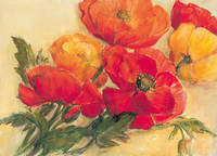 100cm x 70cm Splendid Poppies                 von Elisabeth Krobs