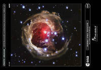 70cm x 100cm V 838 Monocerotis                von Hubble-Nasa
