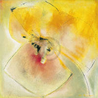 50cm x 50cm Yellow Bloom                     von Marta Peuckert