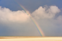 90cm x 60cm Rainbow von Georges-Félix Cohen