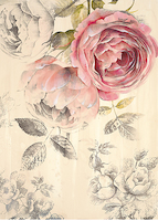 30cm x 40cm Ethereal Roses 1 von Stefania Ferri