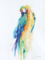 30cm x 40cm Colorful Parrots II von Aimee del Valle