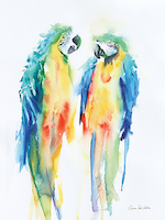 30cm x 40cm Colorful Parrots I von Aimee del Valle