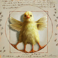 30cm x 30cm Vitruvian Chick von Lucia Heffernan