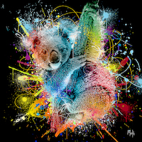 70cm x 70cm Koala Color von Moki