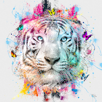 30cm x 30cm Tigre Color von Moki